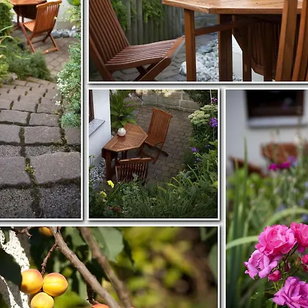 Ginkgo Ii By Interhome Dresde