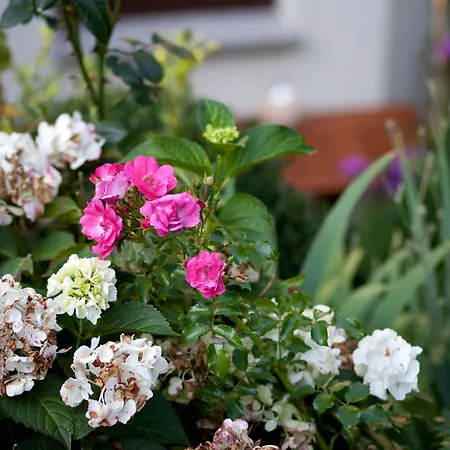 Ginkgo Ii By Interhome Daire Dresden