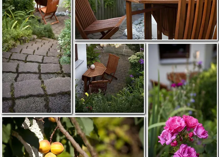 Ginkgo Ii By Interhome 드레스덴