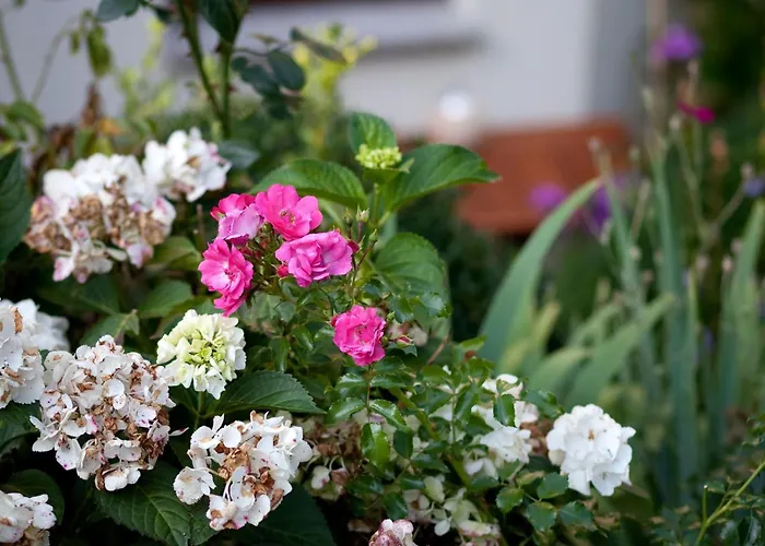 Ginkgo Ii By Interhome شقة دريسدن