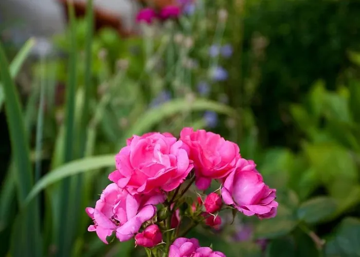 Apartman Ginkgo Ii By Interhome Drezda